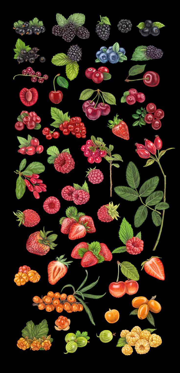 Farm-Fresh Berries: Nature's Sweet Ensemble
