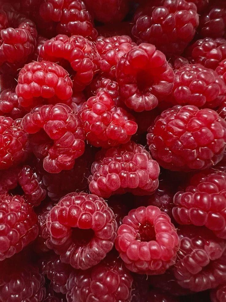 Berry Bounty: Handpicked Garden Delights