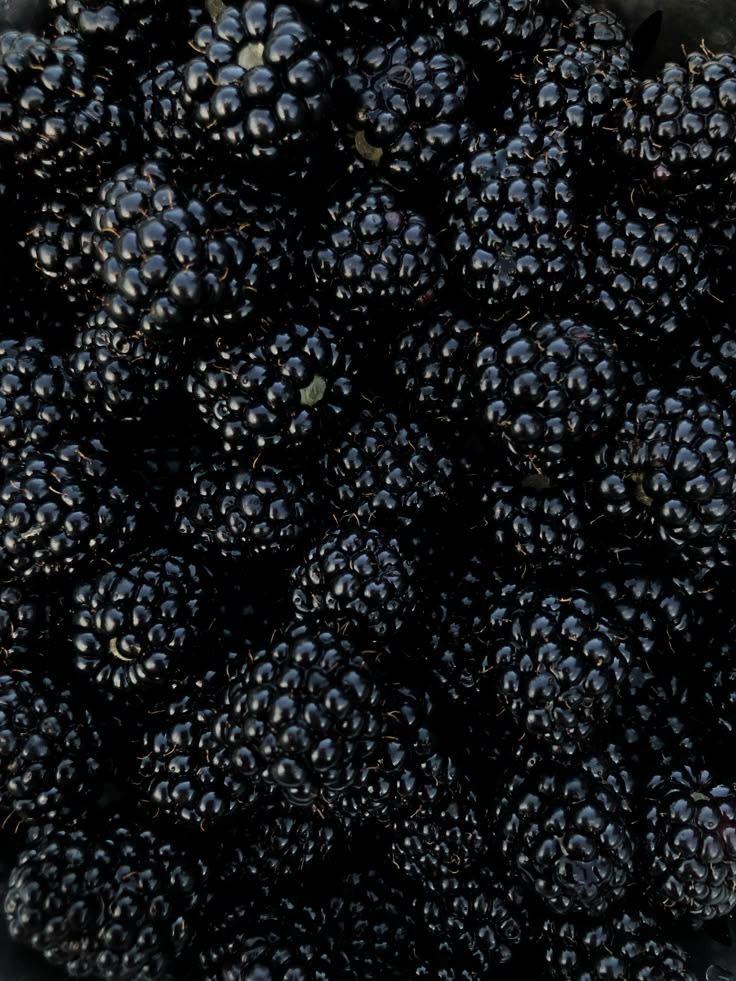 Countryside Berry Fusion: Simply Natural Goodness